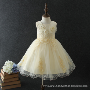 Best selling baby girls party dress design children's princess flower wedding dress for 10 years old
Best selling baby girls party dress design children's princess flower wedding dress for 10 years old